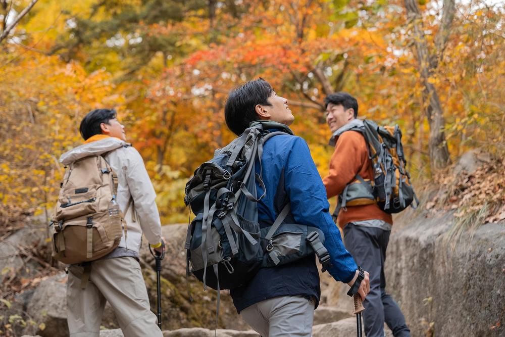 失温滑坠！这份安全指南关键时刻能保命pg电子免费试玩模拟器登山探险谨防(图2)