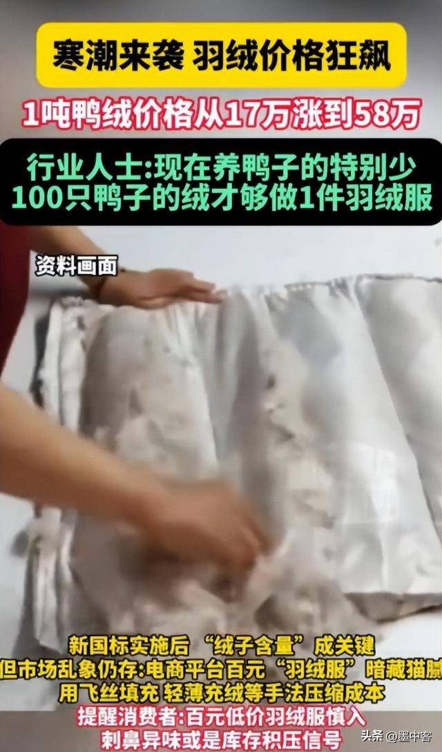 58万创新高低于500元的小心是假货pg模拟器羽绒服要涨价了！鸭绒每吨(图2)