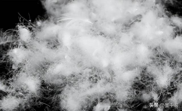 58万创新高低于500元的小心是假货pg模拟器羽绒服要涨价了！鸭绒每吨(图8)