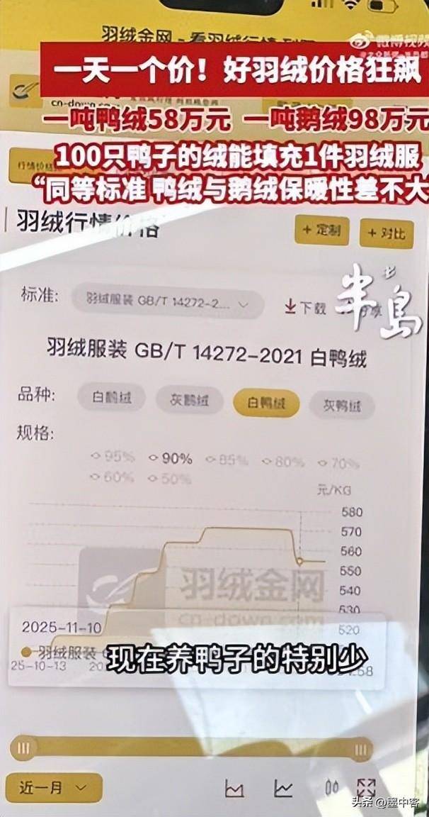 58万创新高低于500元的小心是假货pg模拟器羽绒服要涨价了！鸭绒每吨(图10)