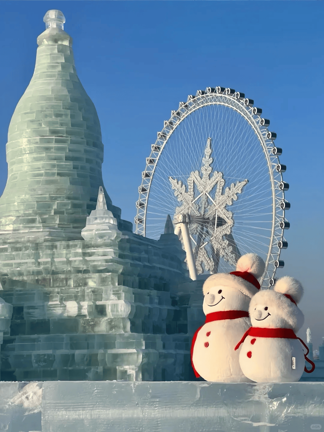 ？看懂这‘十大’背后的口碑与门道pg电子网站哈尔滨旅行社怎么选(图3)